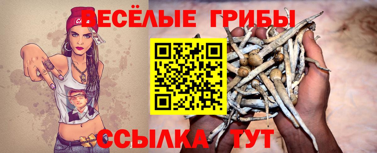 Галлюциногенные грибы мицелий Ржев