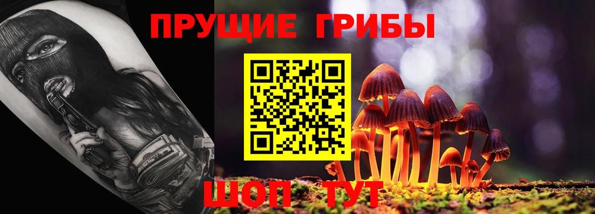 Псилоцибиновые грибы мицелий  Вход с VPN  Ржев 