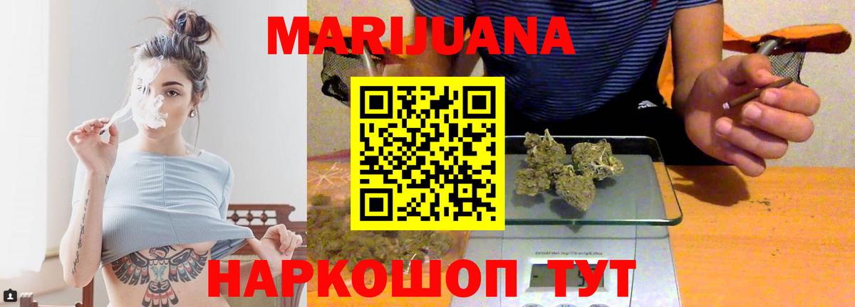 Бошки Шишки планчик Ржев